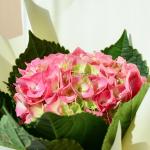 Bó Hoa Tình Cảm Chân Thành 178