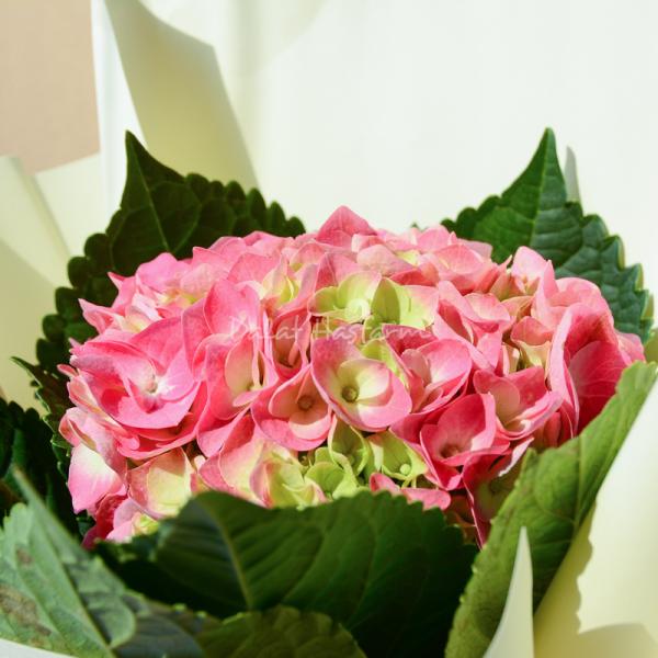 Bó Hoa Tình Cảm Chân Thành 178