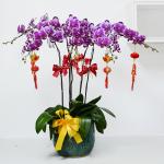 Lan Hồ Điệp Viên Mãn 046