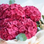 Bó Hoa Tình Cảm Chân Thành 192