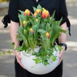 Chậu Hoa Thiết Kế Sắc Xuân 077