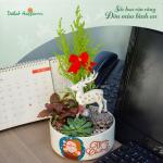 Chậu Trang Trí Plant 4You 01