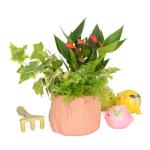 Chậu Hoa Thiết Kế Nồng Ấm 049