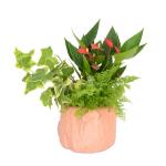 Chậu Hoa Thiết Kế Nồng Ấm 049