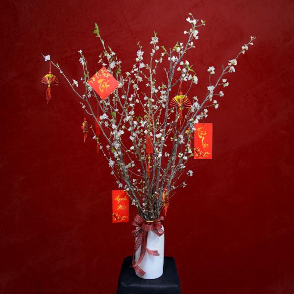 Đào Nhật - Đón Xuân Sum Vầy