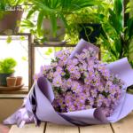 Bó Hoa Thạch Thảo Mộc Mạc 164