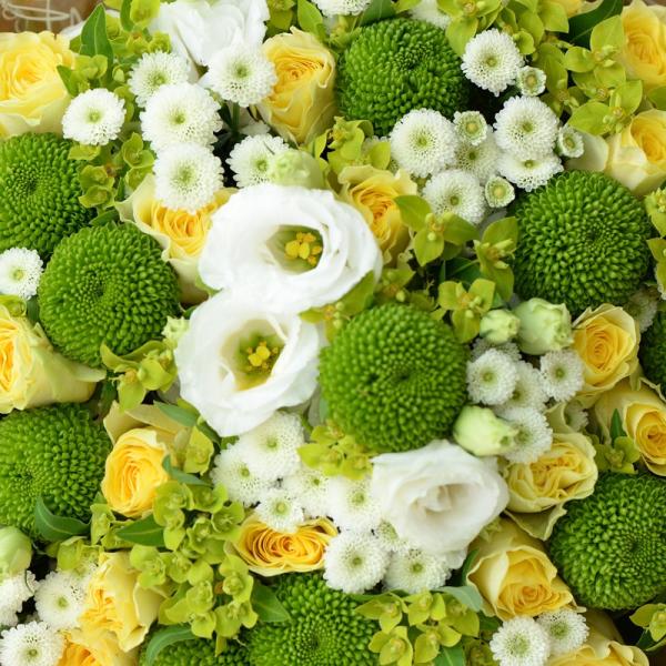 Bó Hoa Dẫn Lối Yêu Thương 006