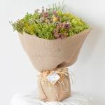 Cánh đồng bất tận