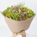 Cánh đồng bất tận