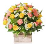 Hộp Hoa Dẫn Lối Yêu Thương 092