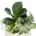 Chậu Cây Thiết Kế Đồng Xanh 003