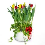 Chậu Hoa Thiết Kế Sắc Xuân 068