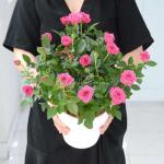 Chậu Hoa Thiết Kế Yêu Thương 013