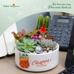 Chậu Trang Trí Plant 4You 02