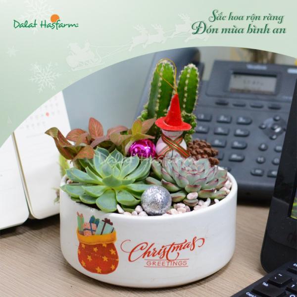 Chậu Trang Trí Plant 4You 02