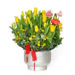Bình Hoa Tulip 057