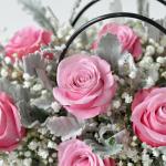 Giỏ Hoa Tình Yêu - Dẫn Lối Con Tim