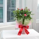 Chậu Giấy Gói Hoa Hồng trung 080