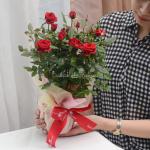 Chậu Giấy Gói Hoa Hồng 038
