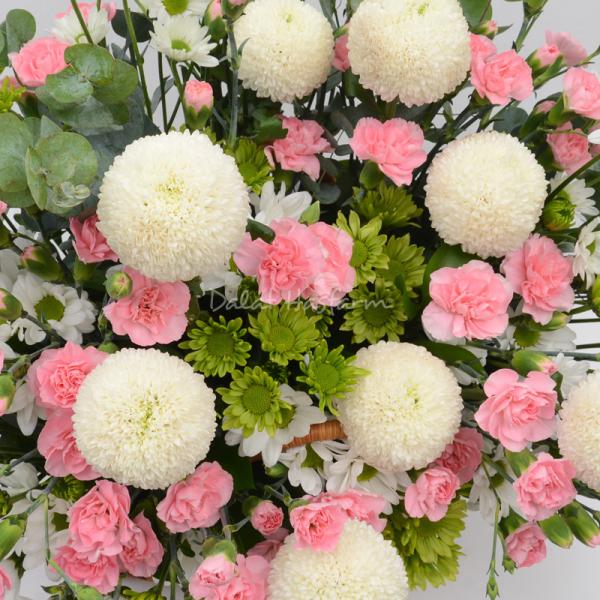 Giỏ Hoa Nắng Ấm Dịu Dàng 198