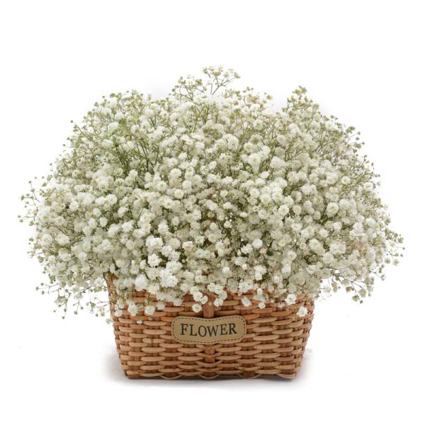 Giỏ Hoa Giọt Nắng Tinh Khôi 190