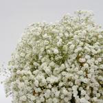 Giỏ Hoa Giọt Nắng Tinh Khôi 190