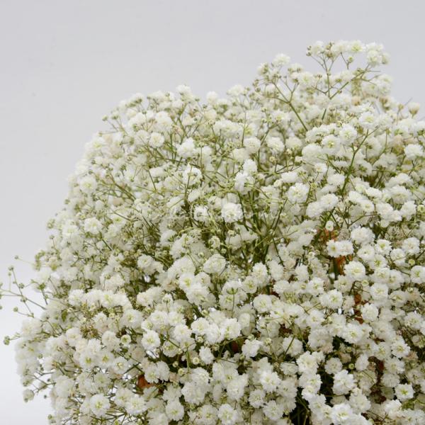 Giỏ Hoa Giọt Nắng Tinh Khôi 190