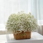 Giỏ Hoa Giọt Nắng Tinh Khôi 190