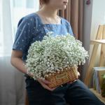 Giỏ Hoa Giọt Nắng Tinh Khôi 190