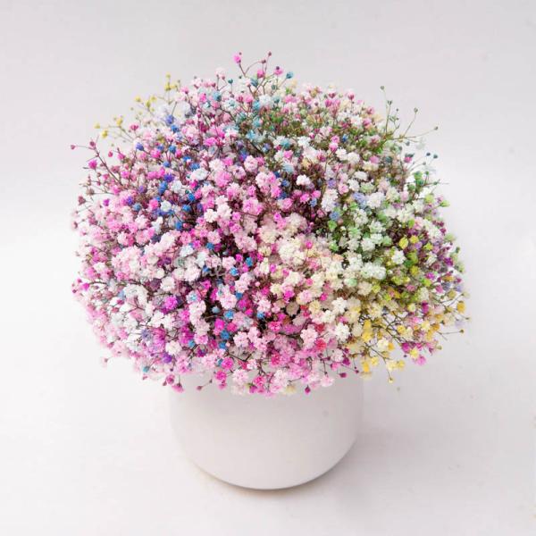 Bình Hoa Giọt Nắng Tinh Khôi 206