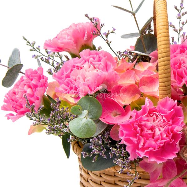 Giỏ Hoa Món Quà Hạnh Phúc 220