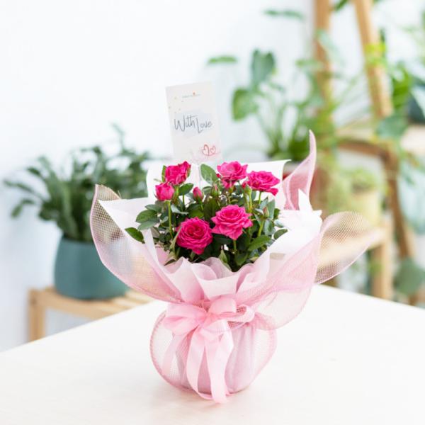 Chậu Giấy Gói Hoa Hồng trung 080