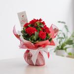 Chậu Giấy Gói Hoa Thu Hải Đường 079