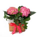 Giỏ Hoa Thiết Kế Chân Thành 087