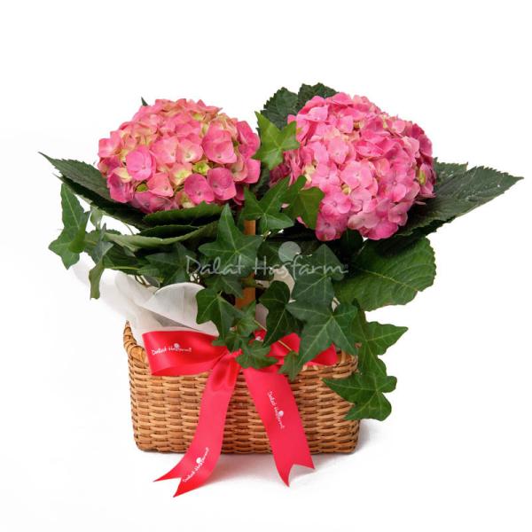 Giỏ Hoa Thiết Kế Chân Thành 087