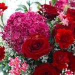 Giỏ Hoa Tình Cảm Chân Thành 365