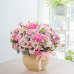 Chậu Hoa Dịu Ngọt Yêu Thương 504