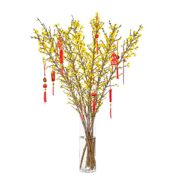 Mai Mỹ - Đầu Xuân Thịnh Vượng