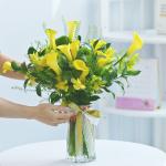 Bình Hoa Yêu Thương Dịu Dàng 350