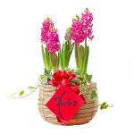 Giỏ Hoa Thiết Kế Hương Mùa Xuân 028