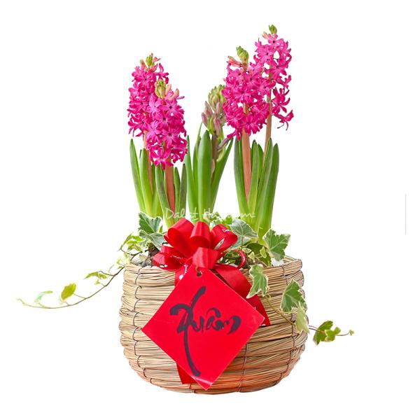 Giỏ Hoa Thiết Kế Hương Mùa Xuân 028