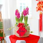 Giỏ Hoa Thiết Kế Hương Mùa Xuân 028