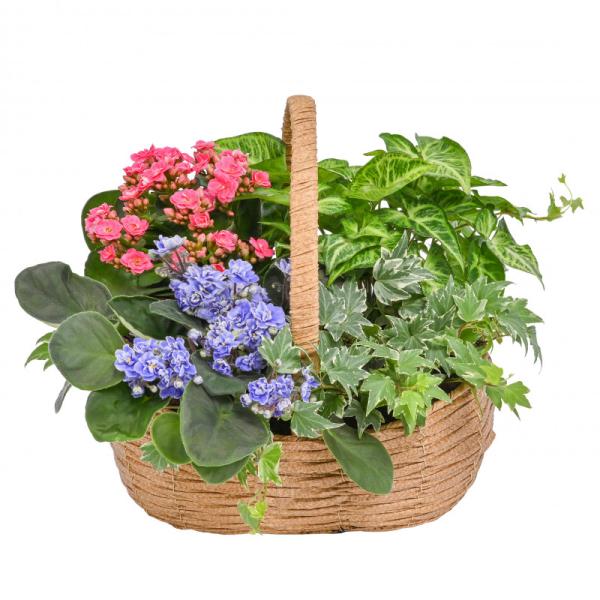 Giỏ Hoa Chậu Thiết Kế Vườn Xinh 153