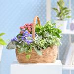 Giỏ Hoa Chậu Thiết Kế Vườn Xinh 153