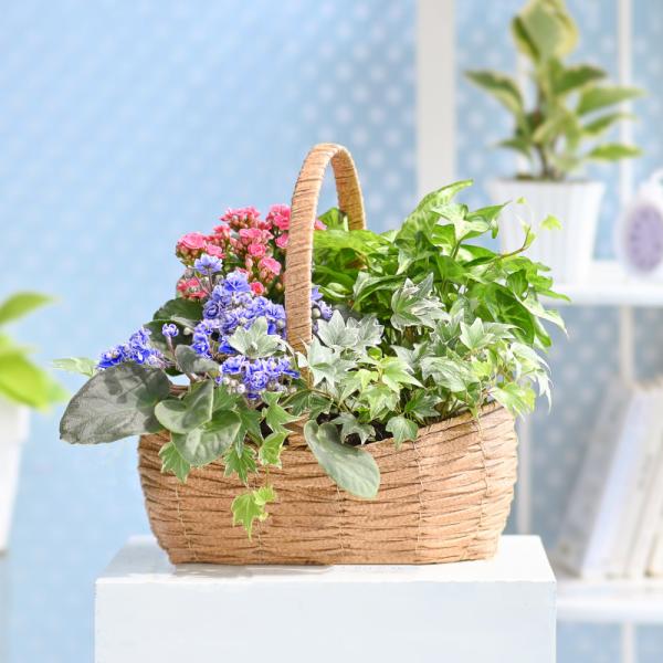 Giỏ Hoa Chậu Thiết Kế Vườn Xinh 153