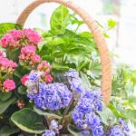 Giỏ Hoa Chậu Thiết Kế Vườn Xinh 153