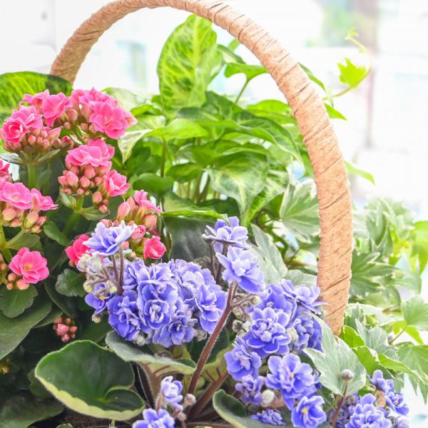 Giỏ Hoa Chậu Thiết Kế Vườn Xinh 153