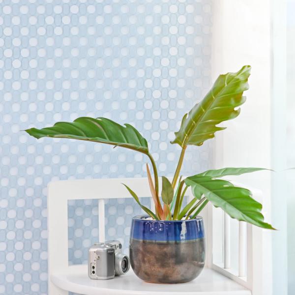 Chậu Cây Thiết Kế Mát Xanh 167