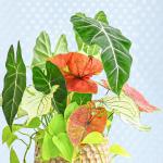 Chậu Cây Thiết Kế Đồng Xanh 162