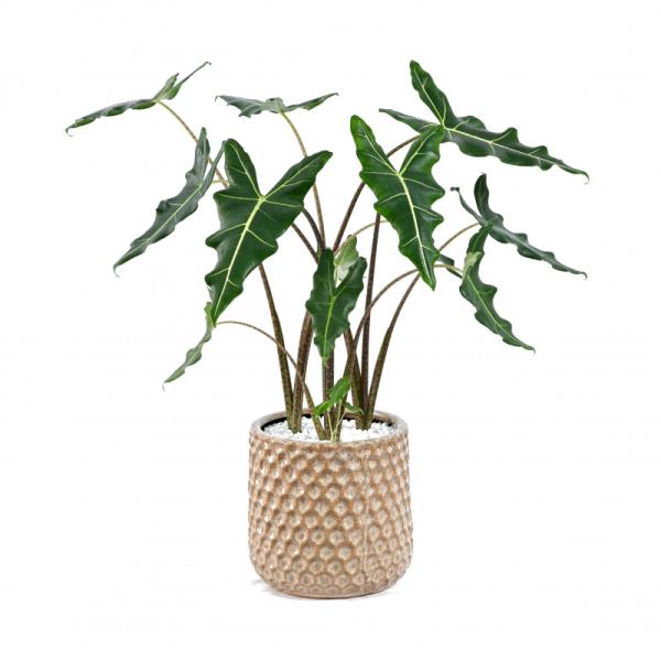 Chậu Cây Thiết Kế Đồng Xanh 004